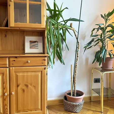Flat Belpoggio 13 Appartamento